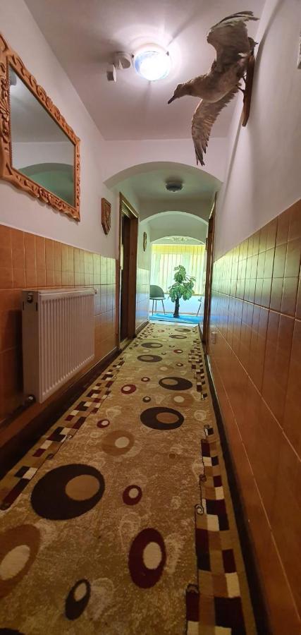 Vila Casa Cristian Câmpulung Moldovenesc Exteriér fotografie